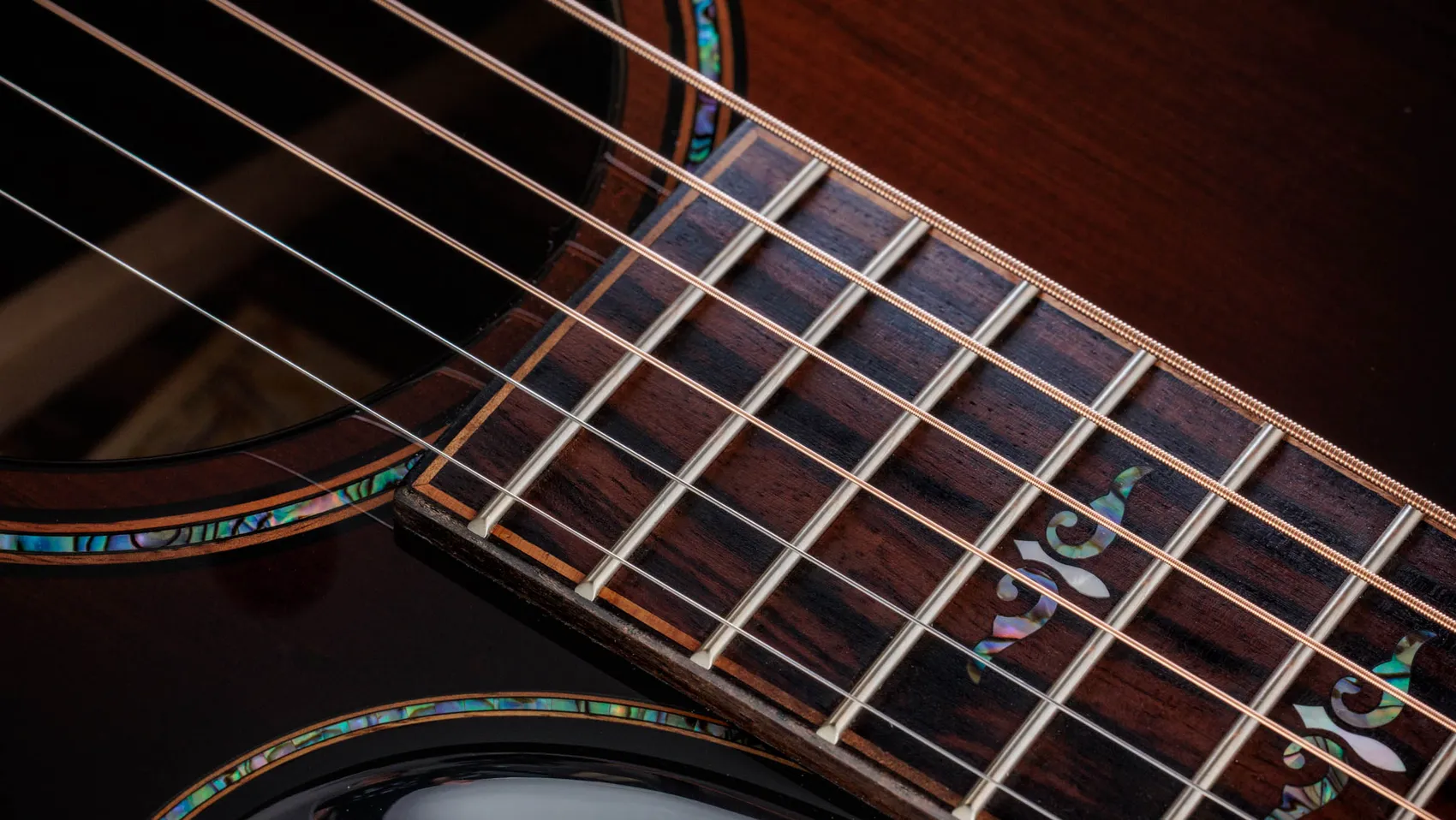 Builder's Edition 914ce LTD Macassar Ebony Macassar Ebony Acoustic